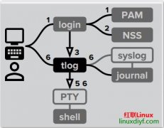 Tlog：录制/播放终端IO和会