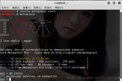 Metasploit连接postgresql数据库