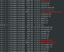在linux下启动tomcat，并实时查看tomcat的控