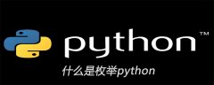 什么是枚举python