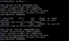 centos系统VPS服务器挂载数据盘教程
