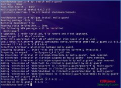 使用molly-guard保护你的Linux/Unix机器不会被