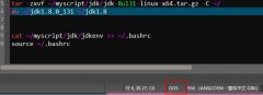 MobaXterm中运行脚本出现c