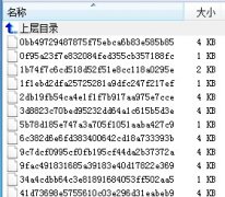 详解WordPress中的头像缓存和署理中的缓存